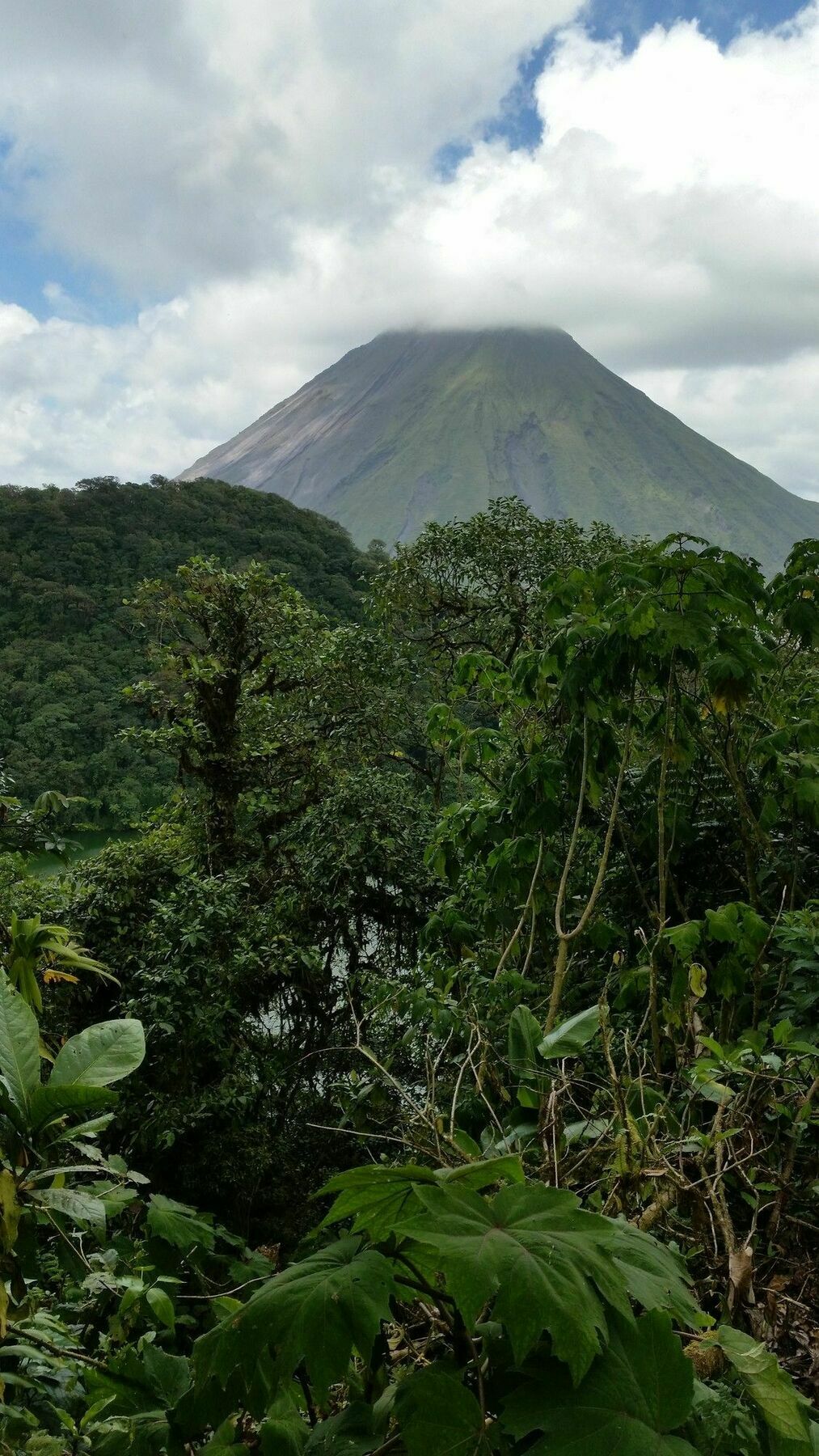 Tifakara Boutique Hotel & Birding Oasis La Fortuna Exterior photo