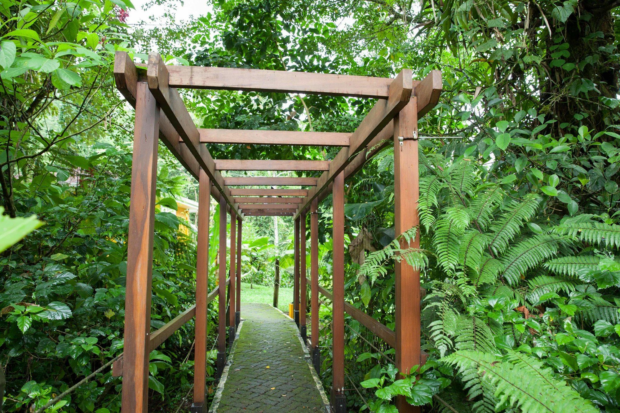 Tifakara Boutique Hotel & Birding Oasis La Fortuna Exterior photo